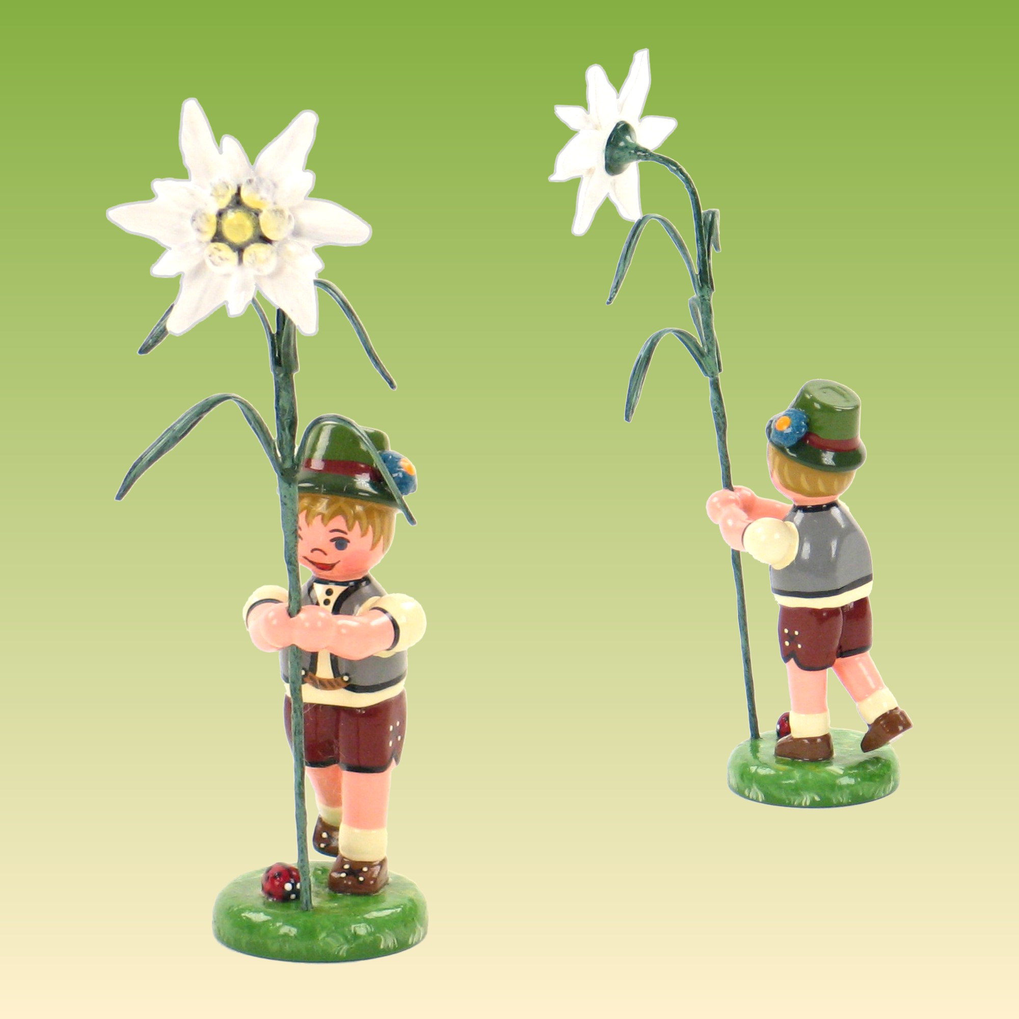 Blumenkind Junge mit Edelweiß